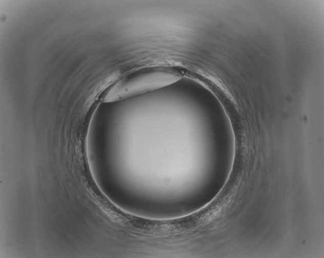 X0000074290881200609011404