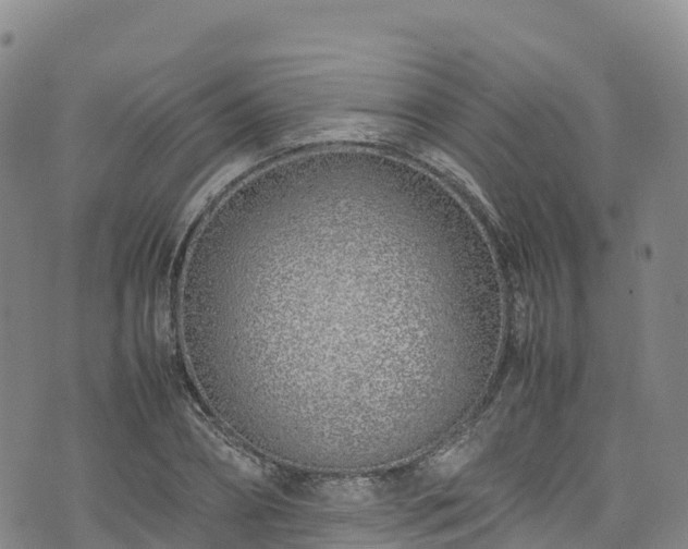 X0000074290882200609011404