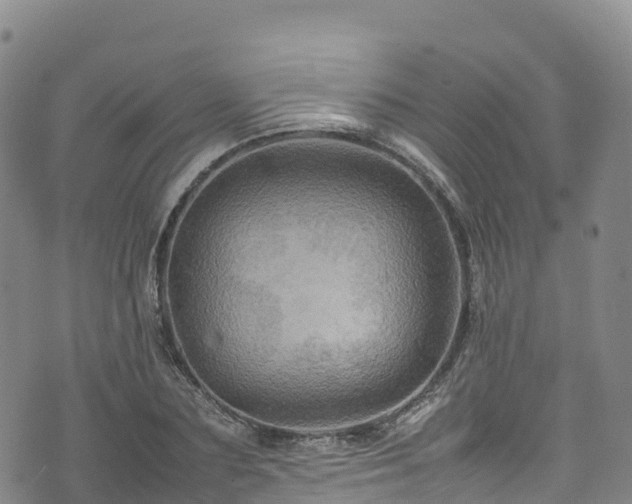 X0000074290883200609011404