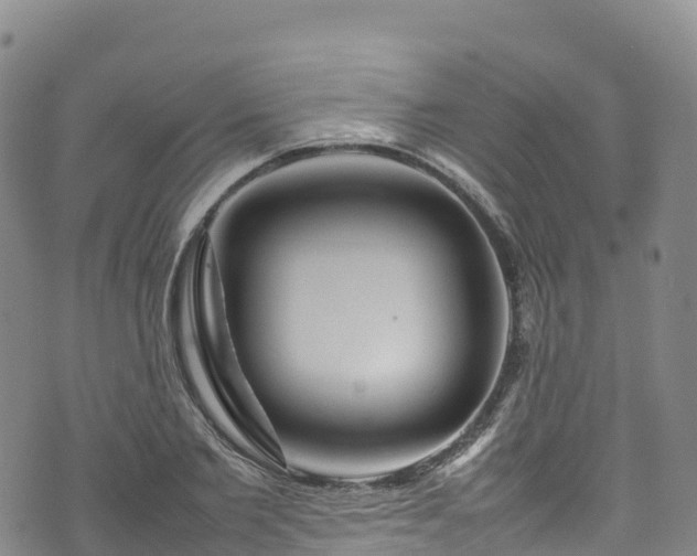 X0000074290885200609011404