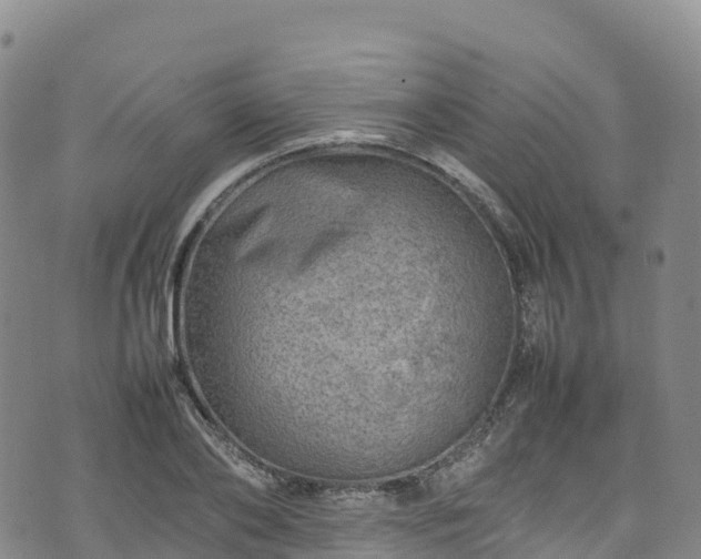 X0000074290886200609011404