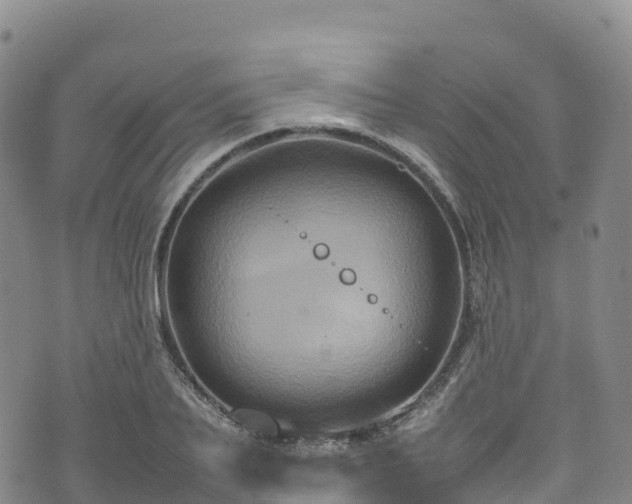 X0000074290887200609011404