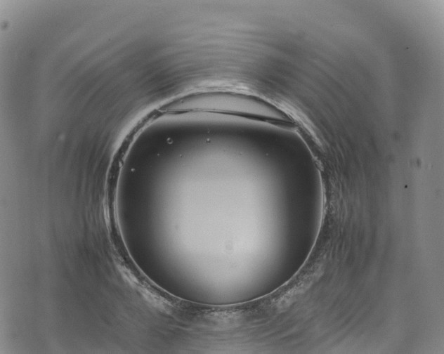 X0000074290888200609011404