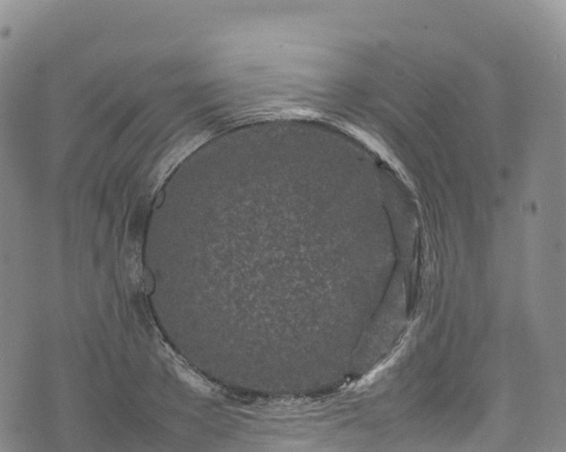 X0000074290889200609011404