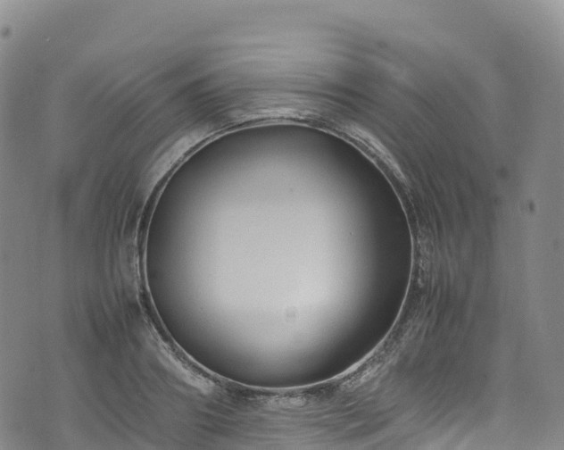 X0000074290890200609011404