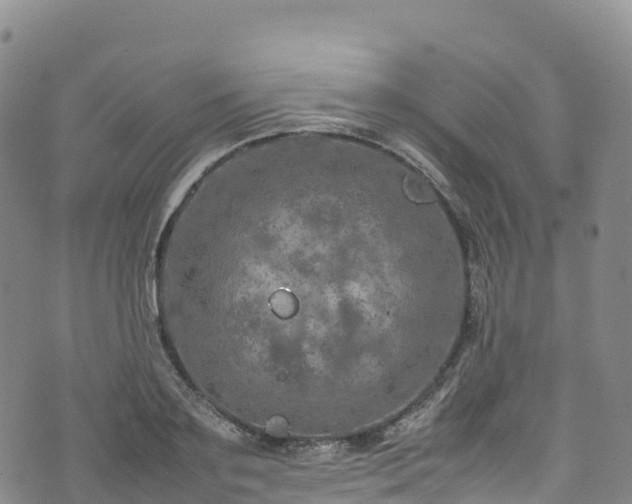 X0000074290891200609011404