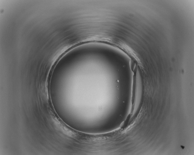 X0000074290892200609011404