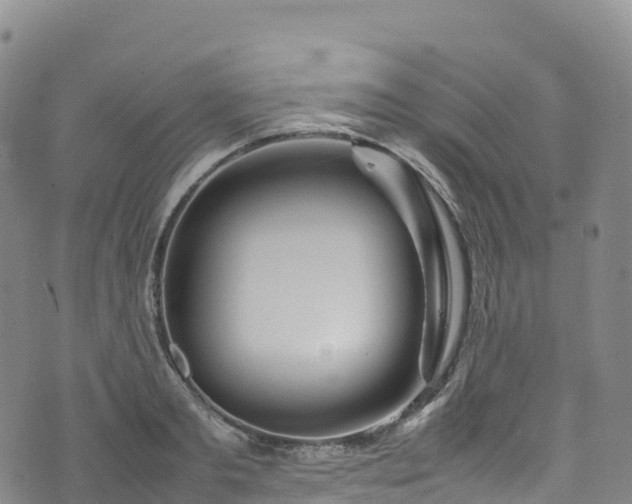 X0000074290893200609011404