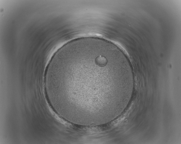 X0000074290895200609011404