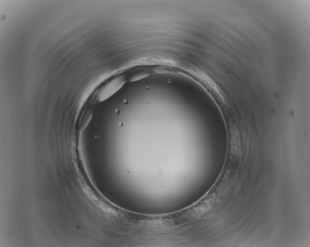 X0000074290896200609011404