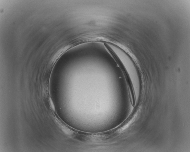 X0000074290897200609011404