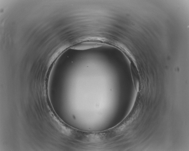 X0000074290898200609011404