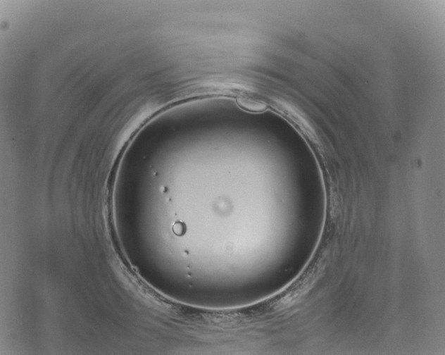 X0000074290899200609011404