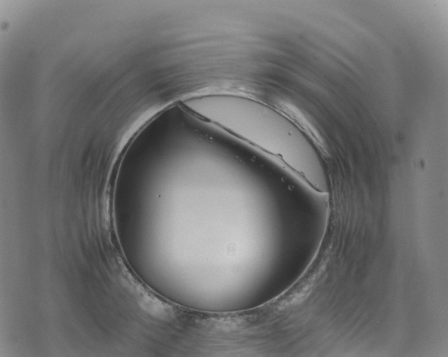 X0000074290900200609011404