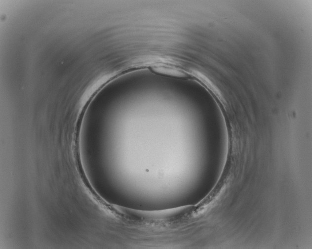 X0000074290901200609011404