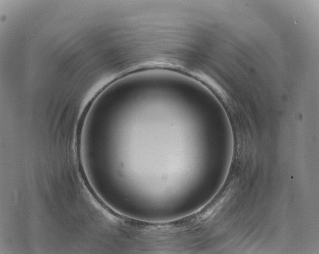 X0000074290902200609011404