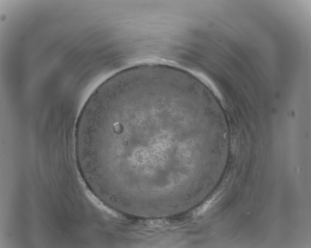 X0000074290903200609011404