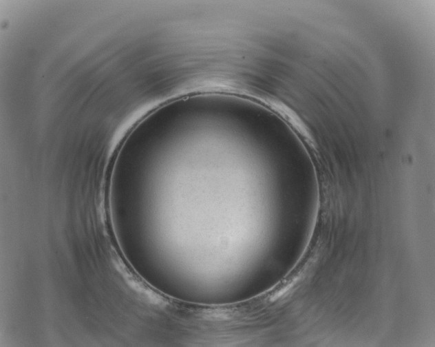 X0000074290904200609011404