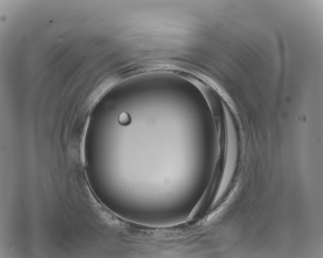 X0000074290905200609011404