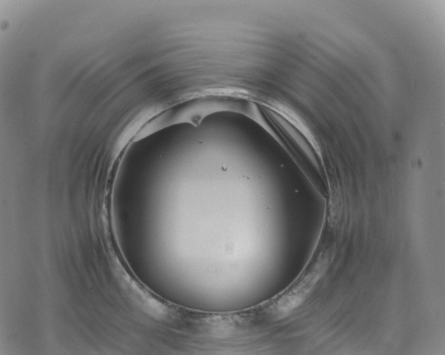 X0000074290906200609011404