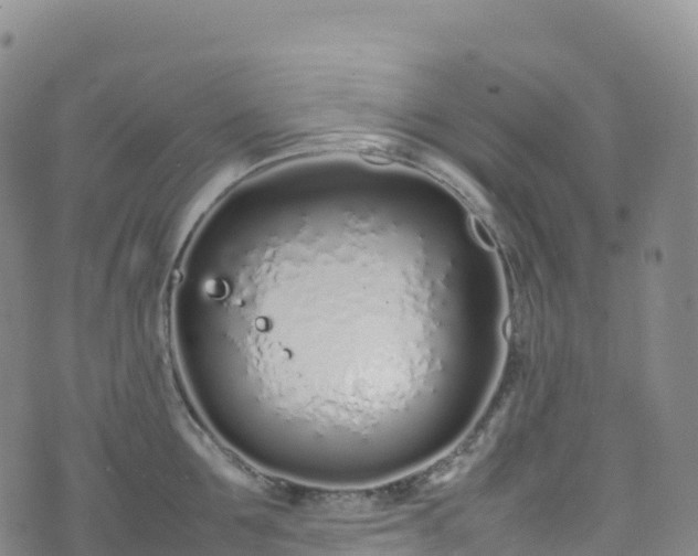 X0000074290907200609011404