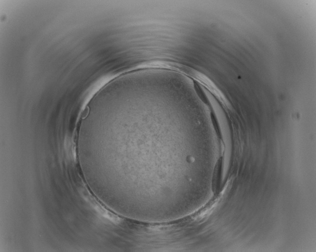 X0000074290908200609011404