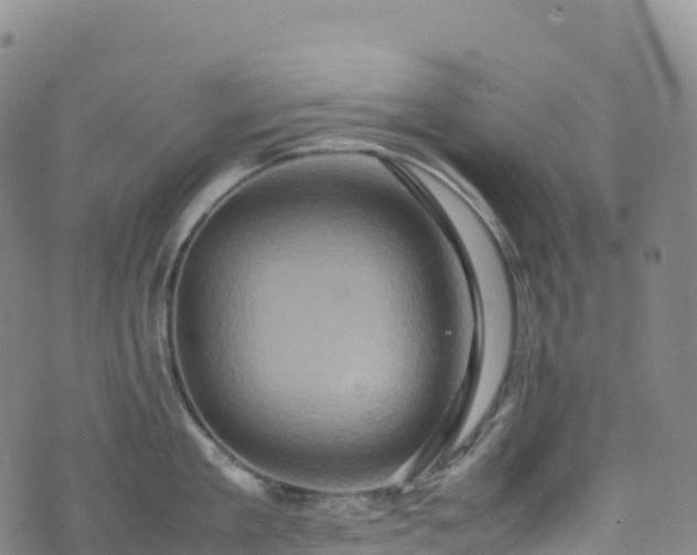 X0000074290909200609011404