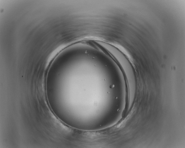 X0000074290910200609011404