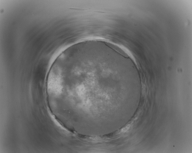 X0000074290911200609011404