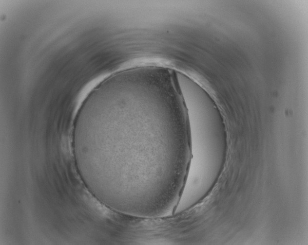 X0000074290912200609011404