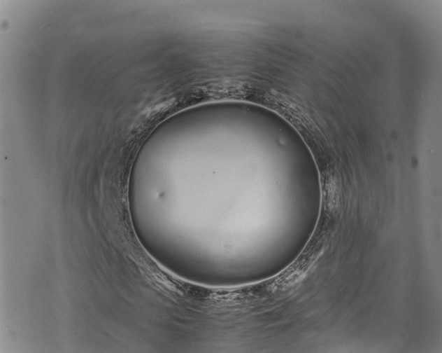 X0000074290913200609011403