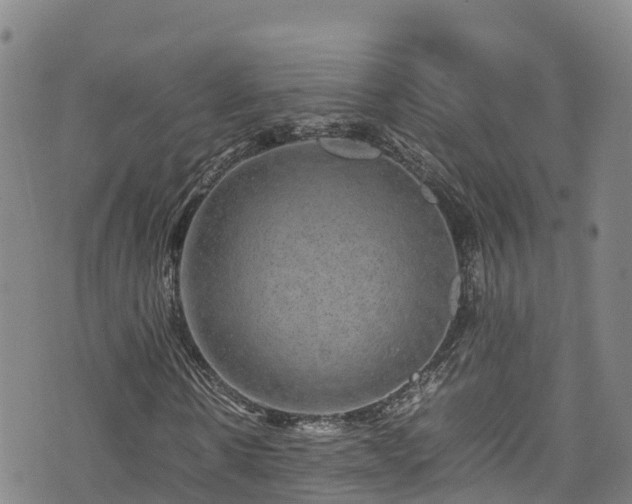 X0000074290914200609011403