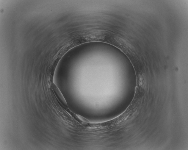 X0000074290915200609011403