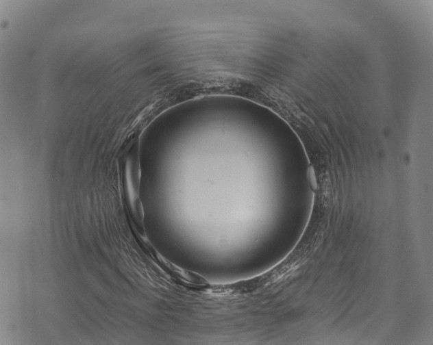 X0000074290916200609011403