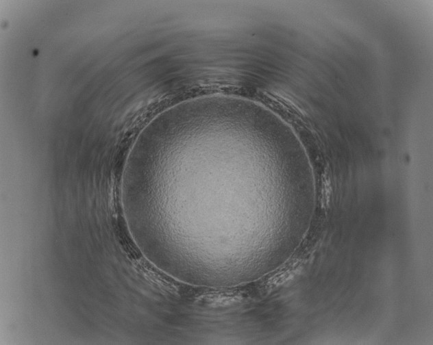 X0000074290917200609011403