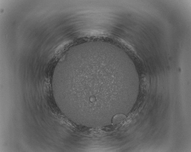 X0000074290918200609011403