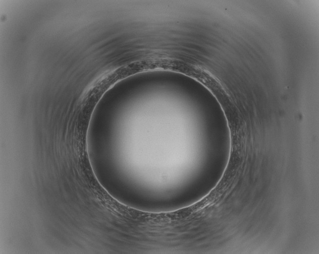 X0000074290919200609011403