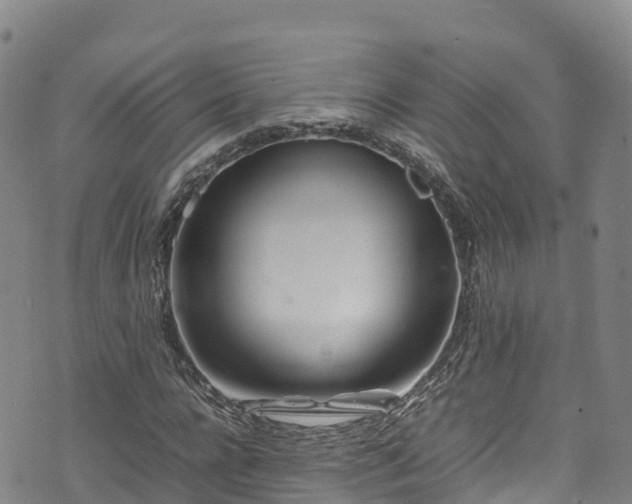 X0000074290920200609011403