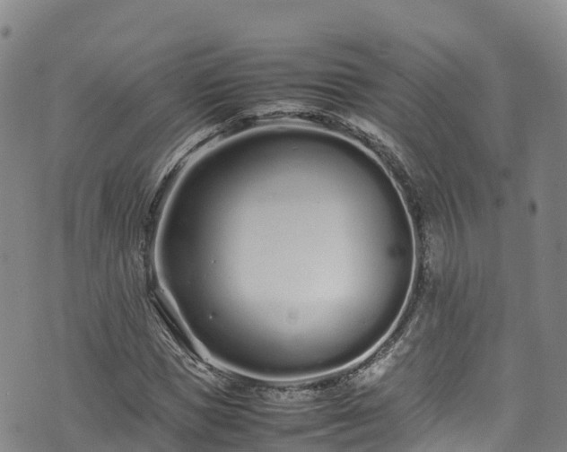 X0000074290921200609011403