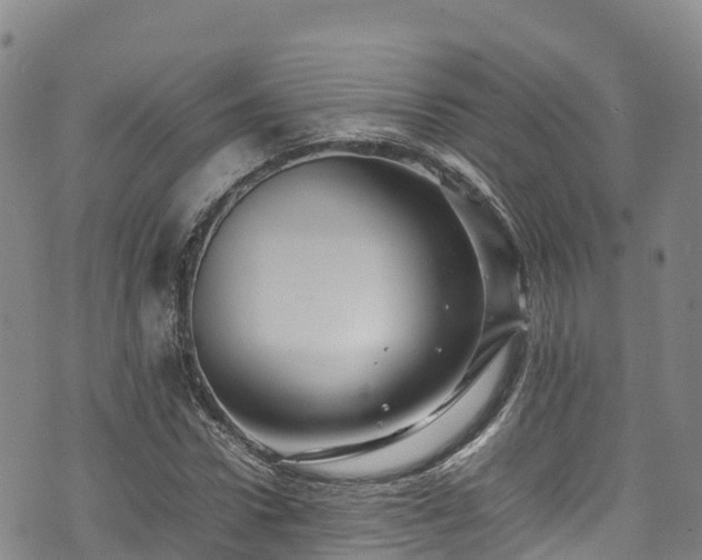 X0000074290922200609011403