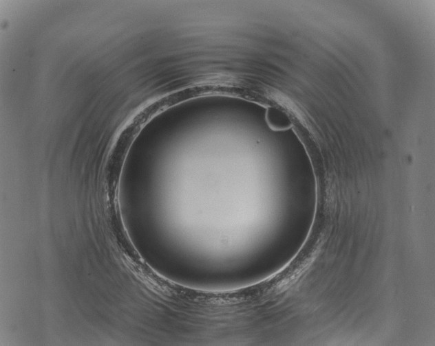 X0000074290923200609011403