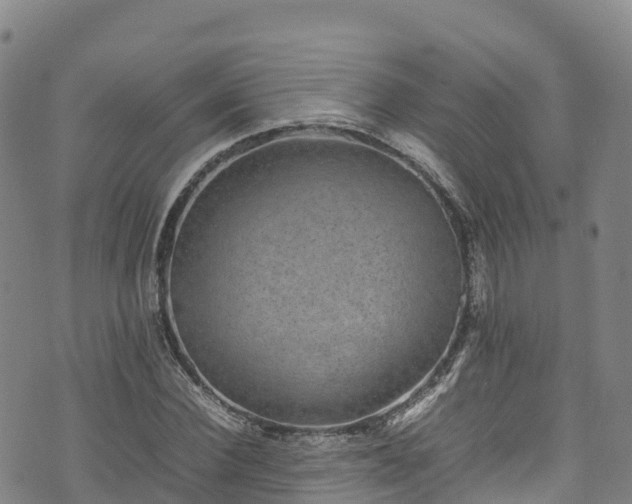 X0000074290924200609011403