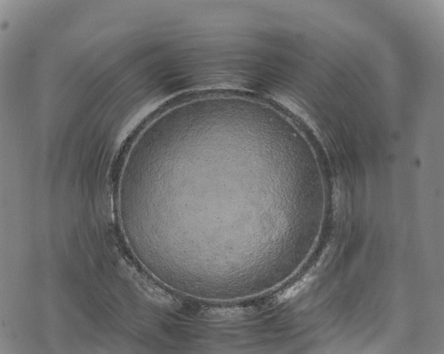 X0000074290925200609011403