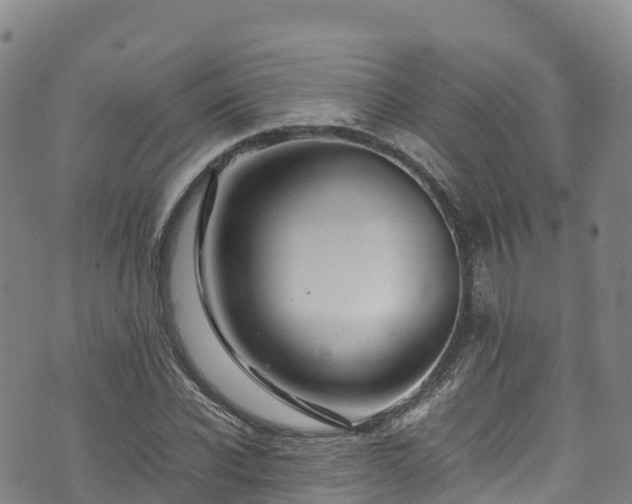 X0000074290926200609011403