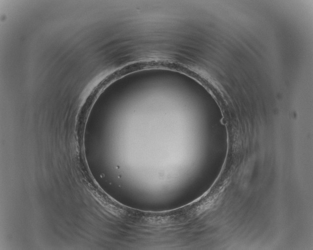 X0000074290927200609011403