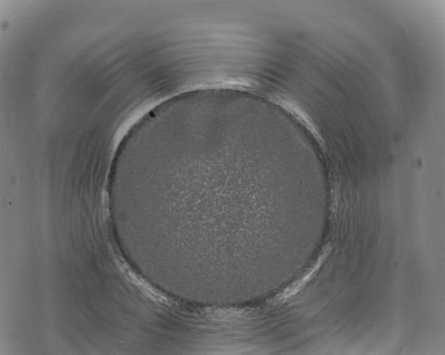 X0000074290928200609011403