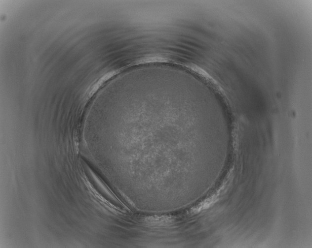 X0000074290929200609011403