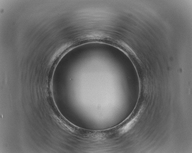 X0000074290930200609011403