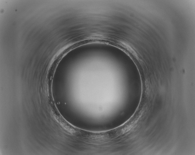 X0000074290931200609011403