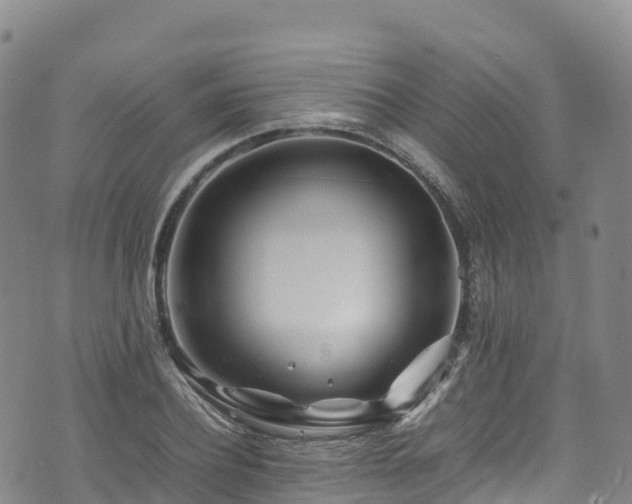 X0000074290932200609011403